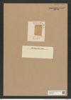 Auliscus pressus Lend.-Fortm. (de-Toni-Nr.: Genus 171, Species 4312) Zeichnungen Sammlung Grunow Nr. 7873 (NHMW-BOT-W0377135)